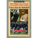 Echoes from the Battlefield: First-Person Accounts of Civil War Past Lives