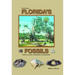 Florida's Fossils