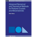 Advanced Numerical Techniques for Photonic Crystals