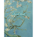 Sketch Book: Drawing Notebook for Sketching, Doodling, Writing, Art Journaling, A4 Sketchbook (Van Gogh Art Cover Vol.5)