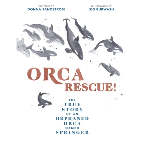 Orca Rescue!: The True Story of an Orphaned Orca Named Springer