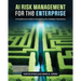 AI Risk Management for the Enterprise: A Practitioner's Guide to Navigating the Intelligent Revolution