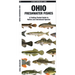 Ohio Freshwater Fishes