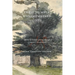 These Humble, Unremembered Lives: Stories of Families Passing Through Compton Chamberlayne from 1274 to the Early 20th Century