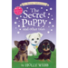 The Secret Puppy and Other Tales: The Lost Puppy; The Secret Puppy; Leo All Alone