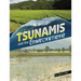Tsunamis and the Environment