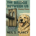 The Bridge Between Us: Healing Fiction