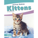 Kittens