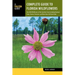 Complete Guide to Florida Wildflowers