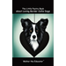 The Little Poetry Book about Loving Border Collie Dogs