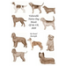 Vulnerable Native Dog Breeds: of the UK 2020