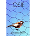 Josie: A Journey of Self-Discovery