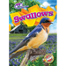 Swallows