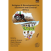 Religion and Development in Southern and Central Africa: Vol. 2