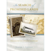 In Search of Promised Lands: A Religious History of Mennonites in Ontario