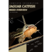 Jaguar Catfish: From Novice to Expert. Comprehensive Aquarium Fish Guide