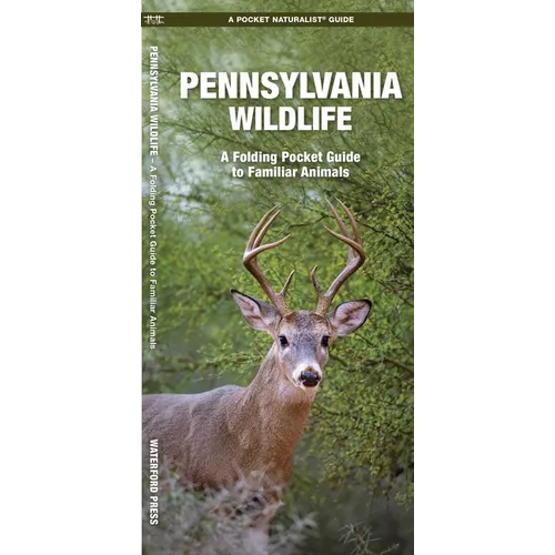Pennsylvania Wildlife: A Folding Pocket Guide to Familiar Animals
