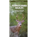 Pennsylvania Wildlife: A Folding Pocket Guide to Familiar Animals