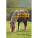 Laminitis: A Scientific and Realistic Approach