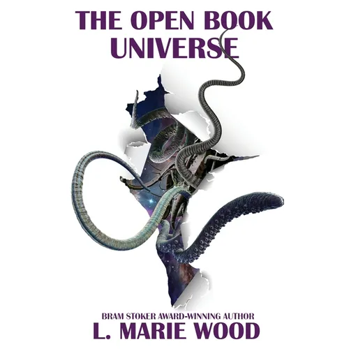 The Open Book Universe