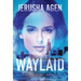 Waylaid: A Christian Romantic Suspense