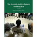 Juvenile Justice System and Practice