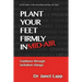Plant your Feet Firmly in Mid-Air: Leading through turbulent change