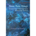 Some Main Things: Essays on Contemporary American Poetry