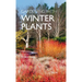 Gardening with Winter Plants