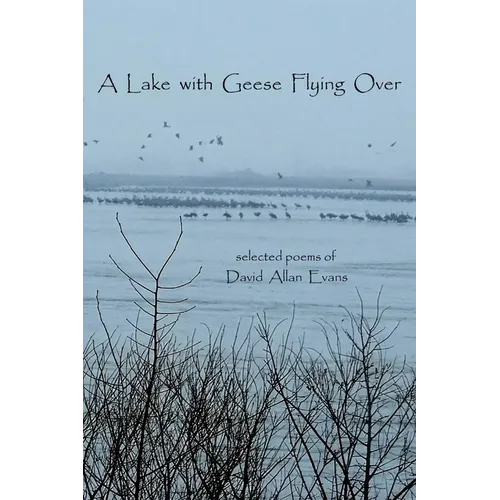 A Lake with Geese Flying Over: selected poems of David Allan Evans