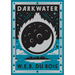 Darkwater: Voices from Within the Veil (of the Diaspora)