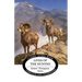 Lives of the Hunted