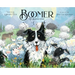 Boomer the Border Collie