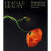 Fragile Beauty: Photographs from the Sir Elton John and David Furnish Collection