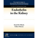 Endothelin in the Kidney