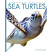 Sea Turtles