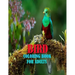 Bird Coloring Book For Adults: 50 amazing and unique bird coloring page of parrot, penguin, owl, eagle, peacock, hummingbird, pigeon and more birds f