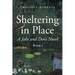 Sheltering in Place: A Jake and Dora Novel