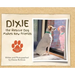 Dixie the Rescue Dog Makes New Friends