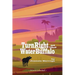 Turn Right at the Water Buffalo