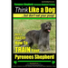 Pyrenees Shepherd, Pyrenean Shepherd Training AAA AKC Think Like a Dog, But Don't Eat Your Poop! Pyrenees Shepherd Breed Expert Training: Here's EXACT