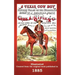 A Texas Cowboy: Or Fifteen Years on the Hurricane Deck of a Spanish Pony