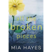 All The Broken Pieces