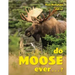 Do Moose Ever . . .?