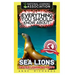 Everything You Should Know About: : Sea Lions