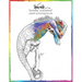 Sheila Wolk"Fantasy Unleashed" Adult Coloring Book