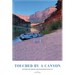 Touched by a Canyon: Rafting the Grand Canyon During COVID