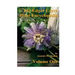 The Edgar Cayce Plant Encyclopedia Volume One