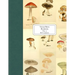 Vintage Prints: Mushrooms: Vol. 2