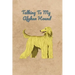 Talking To My Afghan Hound